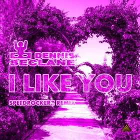 DENNIS SECLANE - I LIKE YOU (SPEEDROCKERZ REMIX)